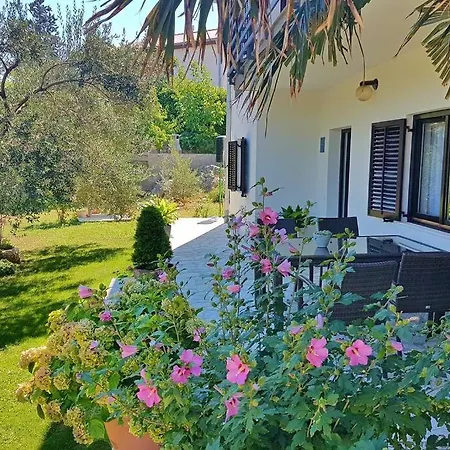 Samlandin * Krk Town